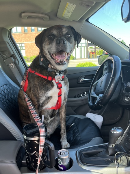 Entry image for Oscar Rowe. Clicking this image will show a larger photo