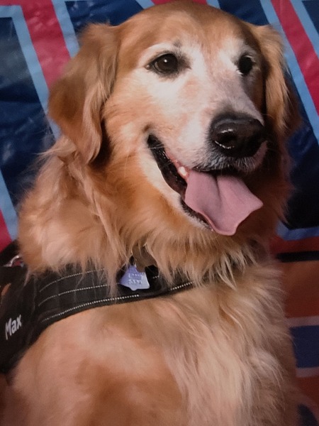 Entry image for Max. Clicking this image will show a larger photo