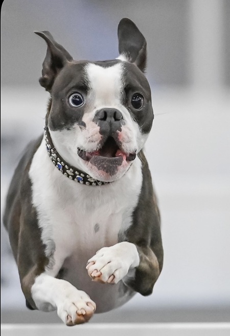 Entry image for Locee. Clicking this image will show a larger photo