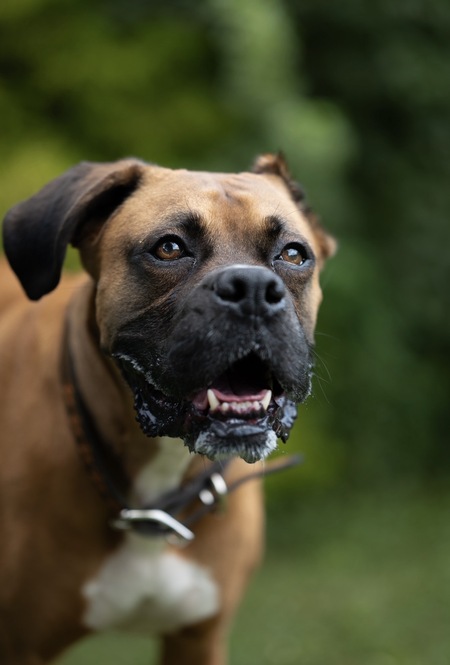 Entry image for Steel. Clicking this image will show a larger photo