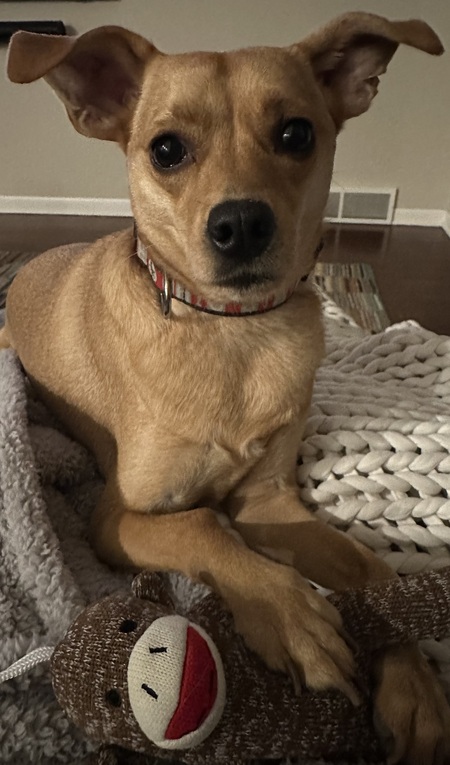 Entry image for Roo-B. Clicking this image will show a larger photo