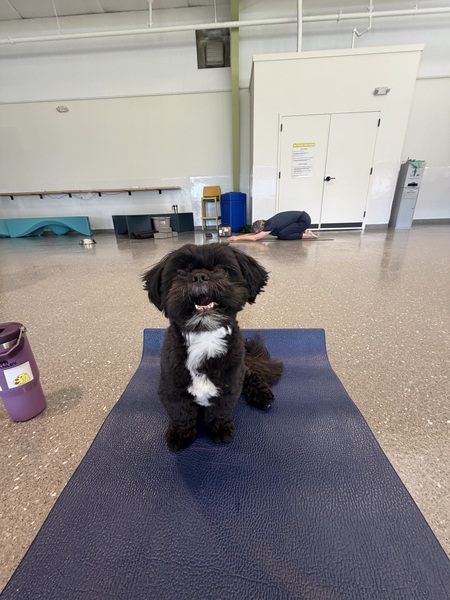 Entry image for Benny James. Clicking this image will show a larger photo