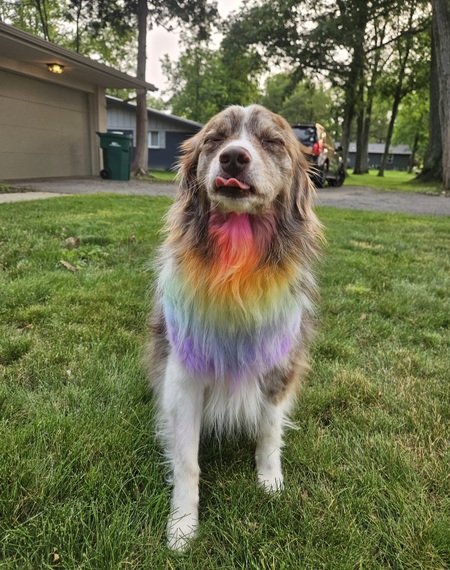 Entry image for Roisin. Clicking this image will show a larger photo