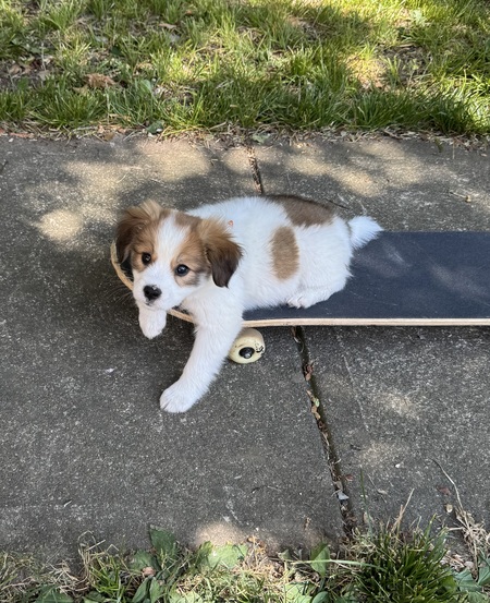 Entry image for Martha. Clicking this image will show a larger photo