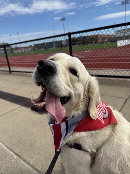 Entry image for Blu. Clicking this image will show a larger photo