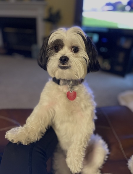 Entry image for Wyatt . Clicking this image will show a larger photo