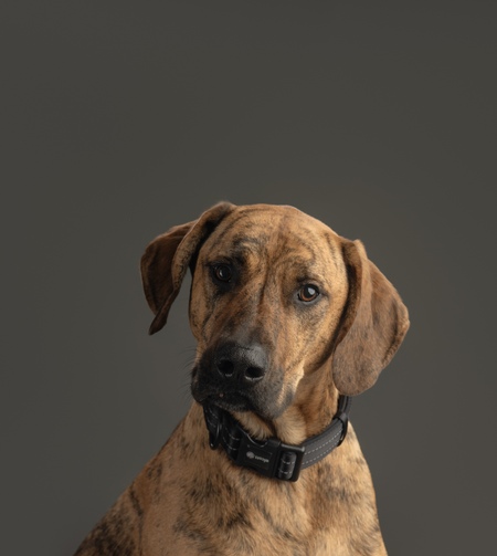 Entry image for Bruce. Clicking this image will show a larger photo