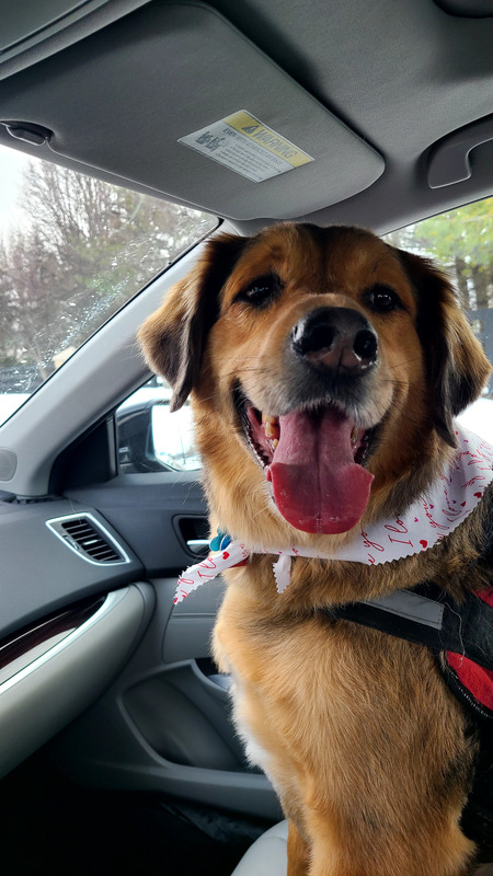 Entry image for Bennie. Clicking this image will show a larger photo