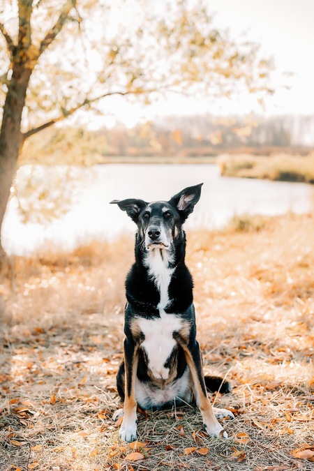 Entry image for Jessy. Clicking this image will show a larger photo