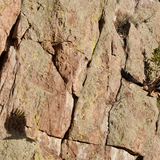 Entry image for Golden Eagle leaving the nest