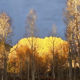 Entry image for First Autumn Light