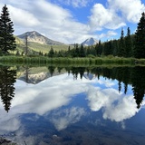 Entry image for Summer Morning Reflections