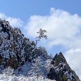 Entry image for Fresh Powder