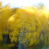 Entry image for Aspen Dance