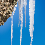 Entry image for Winter Decoration