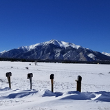 Entry image for Lonely Mailboxes