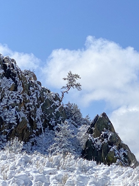 Entry image for Fresh Powder. Clicking this image will show a larger photo