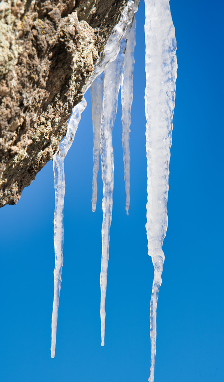 Entry image for Winter Decoration. Clicking this image will show a larger photo