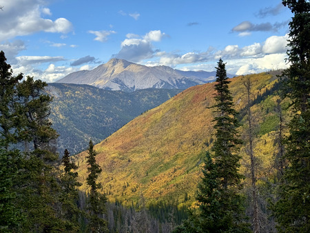 Entry image for From Hope to Heaven . Clicking this image will show a larger photo