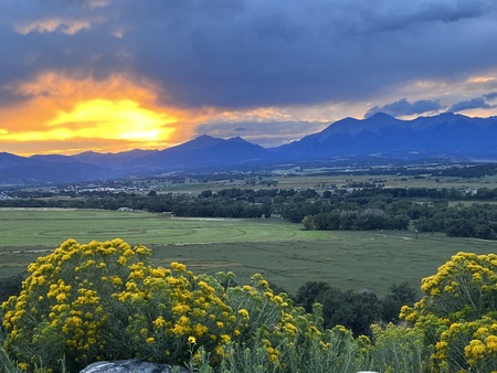 Entry image for Pax. Clicking this image will show a larger photo