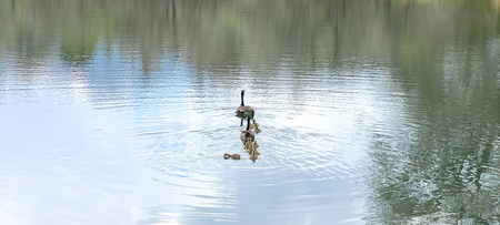 Entry image for Stay in line!. Clicking this image will show a larger photo