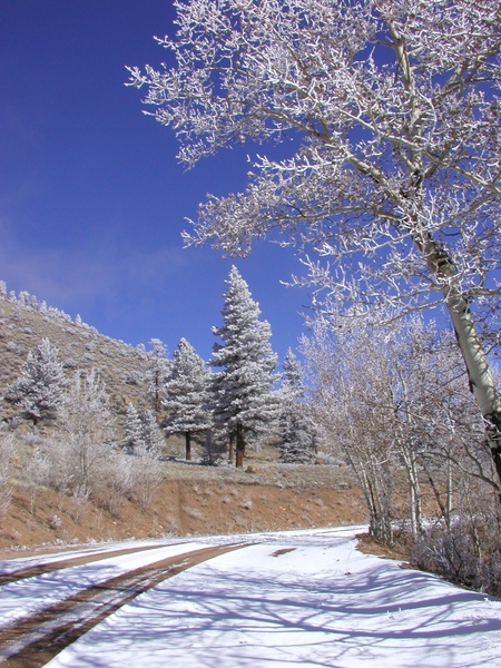 Entry image for Fourmile in Hoarfrost. Clicking this image will show a larger photo