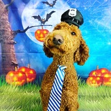 Entry image for Officer Spencer