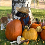 Entry image for Linda and Murphy