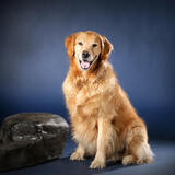 Entry image for Jake 