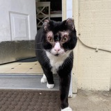 Entry image for Flame 