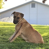 Entry image for Cannonball 