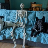 Entry image for Rosie and Jack