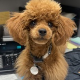 Entry image for Franny