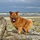 Entry image for Zosia