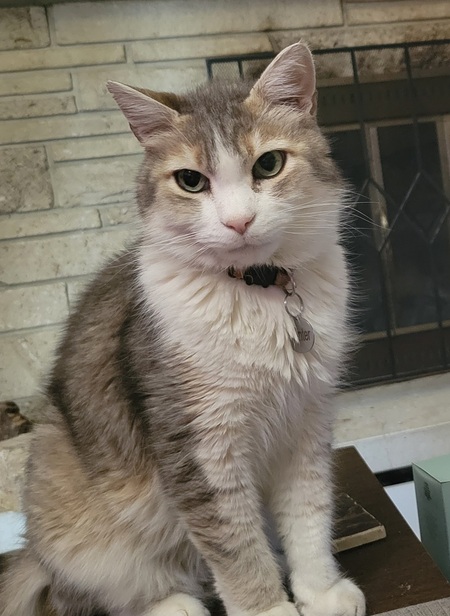 Entry image for Hunter. Clicking this image will show a larger photo