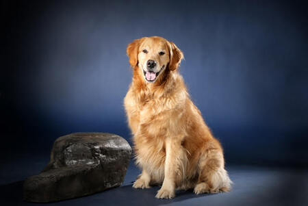 Entry image for Jake . Clicking this image will show a larger photo