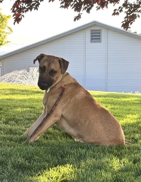 Entry image for Cannonball . Clicking this image will show a larger photo