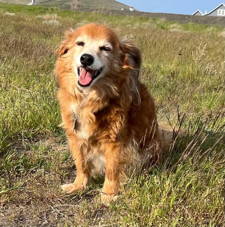 Entry image for Tucker . Clicking this image will show a larger photo