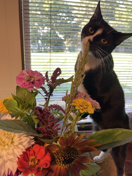 Entry image for Ryley. Clicking this image will show a larger photo