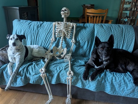 Entry image for Rosie and Jack. Clicking this image will show a larger photo