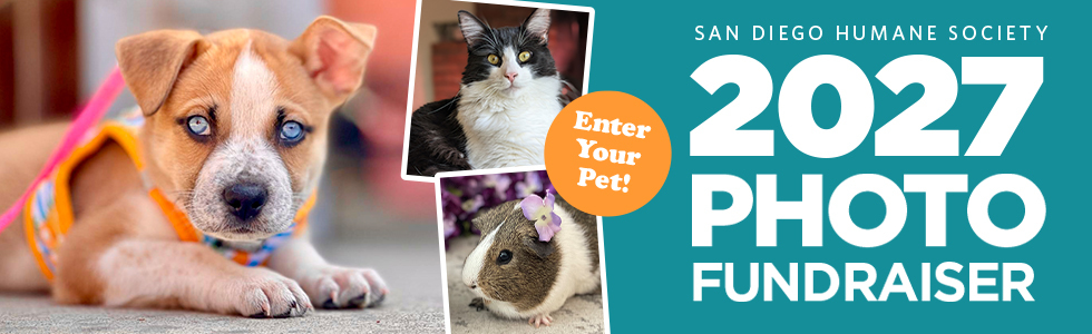 Banner for 2027 Photo Fundraiser