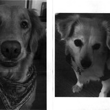 Entry image for Cali & Lala