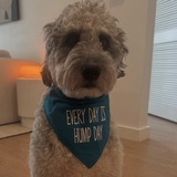 Entry image for Ozzy