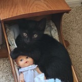 Entry image for Momrath (Momo)