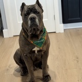 Entry image for Makoa