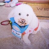 Entry image for Molli