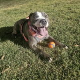 Entry image for Rosie