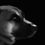 Entry image for River