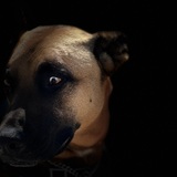 Entry image for River