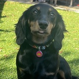 Entry image for Maggie Mae